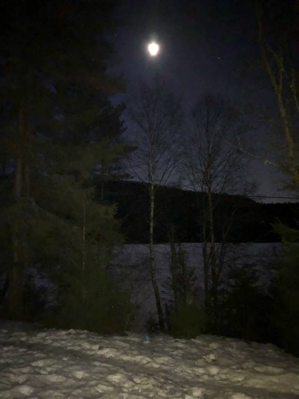 Damegruppa - Måneskinnstur